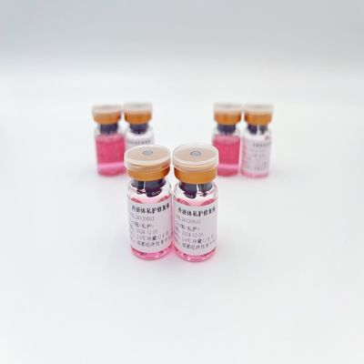 좋은 가격 5ml 엘리베트 개인 관리 액체 엑소섬 풍부 인티머스 웰빙 수리 액체 온라인으로