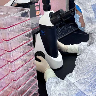 Harga yang bagus Serum Mata Exosome XinMiXue | Menenangkan Mata Kering, Meredakan Kelelahan, Merevitalisasi Mata Anda on line