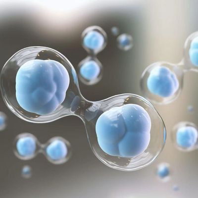 Bon prix Pharma Cosmetics Grade Stem Cell Extract with 180-181 °C Fusing Point and HPLC Analysis for Cosmetic Raw Material en ligne