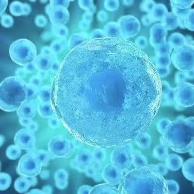Хорошая цена Эстетическое применение Экзосома FDA одобренная высокая жизнеспособность Совместимая с клетками кожи онлайн