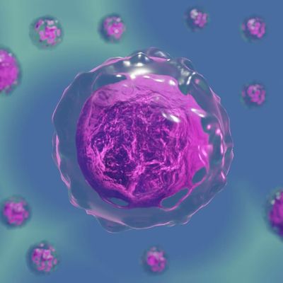 Bon prix Exosome Cosmetic Raw Material with Molecular Formula C13H16N2O2 from Human Stem Cells for Anti-Aging Properties en ligne